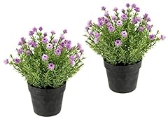 Flair flower mini gebraucht kaufen  Wird an jeden Ort in Deutschland