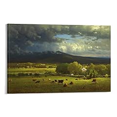 Haatti sunset river for sale  Delivered anywhere in USA 