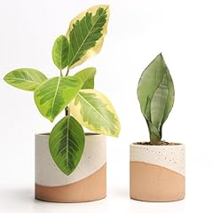 Jofamy ceramic pots for sale  Delivered anywhere in USA 