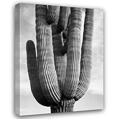 Artdirect detail cactus for sale  Delivered anywhere in USA 