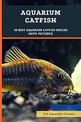 Aquarium catfish best for sale  Delivered anywhere in UK