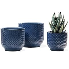 Inch ceramic pots for sale  Delivered anywhere in USA 