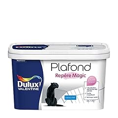 Dulux valentine peinture d'occasion  Livré partout en France