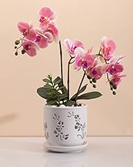 Fayoula orchid pot for sale  Delivered anywhere in USA 