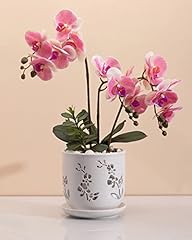 Fayoula orchid pot for sale  Delivered anywhere in USA 