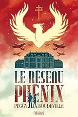 Réseau phénix d'occasion  Livré partout en Belgiqu