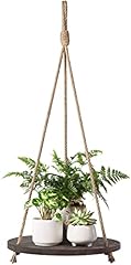 Dahey hanging plant for sale  Delivered anywhere in USA 