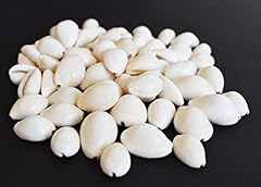 Select white cowrie for sale  Delivered anywhere in USA 
