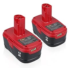 2pack 6.0ah 19.2v for sale  Delivered anywhere in USA 