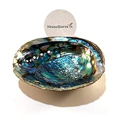 Nessastores green abalone for sale  Delivered anywhere in Ireland