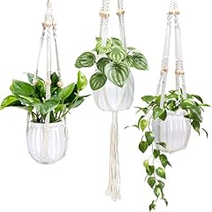 Koalaime small hanging for sale  Delivered anywhere in USA 