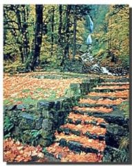 Waterfall fallen autumn for sale  Delivered anywhere in USA 
