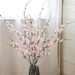 Florisso cherry blossom for sale  Delivered anywhere in USA 