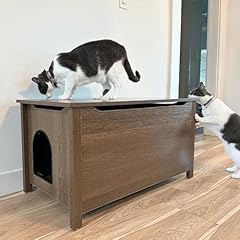 Parker designer cat for sale  Delivered anywhere in USA 