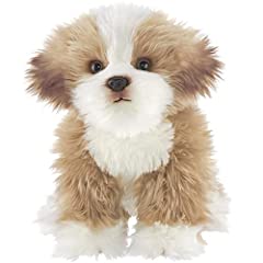 Bearington murphy maltipoo for sale  Delivered anywhere in USA 
