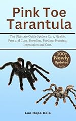 Pink toe tarantula for sale  Delivered anywhere in USA 