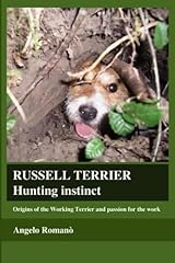 Russell terrier hunting for sale  Delivered anywhere in Ireland