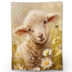Caldi cute sheep for sale  Delivered anywhere in USA 