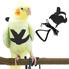 Pet parrot bird for sale  Delivered anywhere in UK