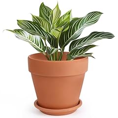 Ingofin terracotta pot for sale  Delivered anywhere in USA 