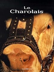 bovin charolais d'occasion  Livré partout en France