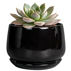 Epgardening inch planter for sale  Delivered anywhere in USA 