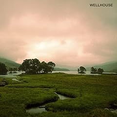 Wellhouse for sale  Delivered anywhere in UK