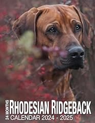 Rhodesian ridgeback calendar for sale  Delivered anywhere in UK