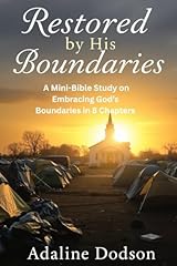 Restored boundaries mini for sale  Delivered anywhere in UK