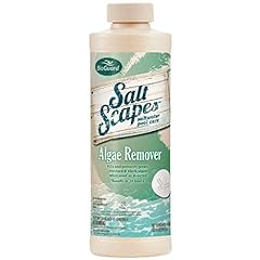 Saltscapes saltwater pool for sale  Delivered anywhere in USA 