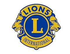 Lions international official for sale  Delivered anywhere in USA 