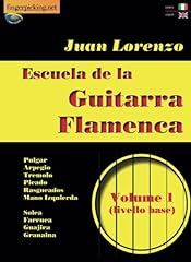 Escuela guitarra flamenca usato  Spedito ovunque in Italia 