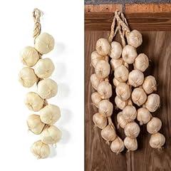 Artificial garlic string for sale  Delivered anywhere in USA 