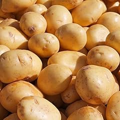 Strimusimak semi patata usato  Spedito ovunque in Italia 