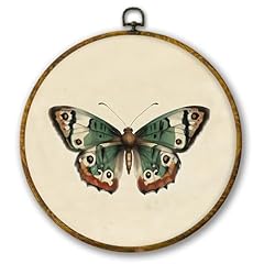Mcehtle vintage butterfly for sale  Delivered anywhere in USA 