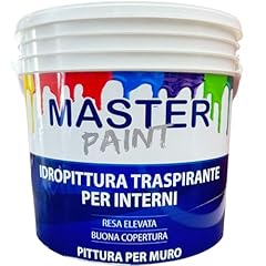 Masterbrico pittura bianca usato  Spedito ovunque in Italia 