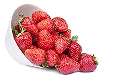 Evie strawberry everbearing for sale  Delivered anywhere in USA 