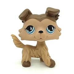 Wdjzwzd mini pet for sale  Delivered anywhere in USA 
