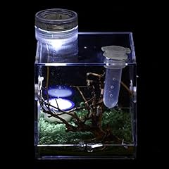 Gadpiparty large terrarium for sale  Delivered anywhere in UK