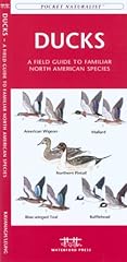 Ducks field guide for sale  Delivered anywhere in USA 