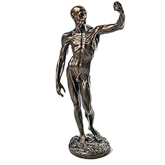Houdon anatomical study d'occasion  Livré partout en France