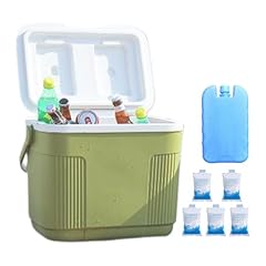 Fridge portatile frigo usato  Spedito ovunque in Italia 