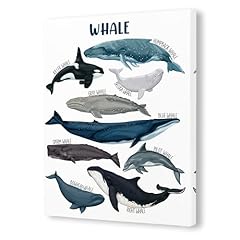 Pugwak whale ocean for sale  Delivered anywhere in USA 