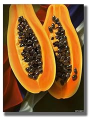 Iztawey canvas wall for sale  Delivered anywhere in USA 