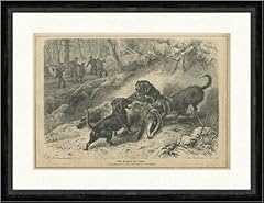 Kunstdruck digging badger for sale  Delivered anywhere in UK