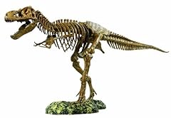 Tyrannosaurus rex scheletro usato  Spedito ovunque in Italia 