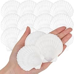 Skoolove 25pcs white for sale  Delivered anywhere in UK