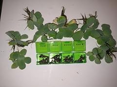 Trumpet snails water for sale  Delivered anywhere in UK