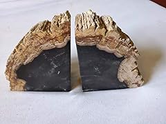 Black petrified wood for sale  Delivered anywhere in USA 