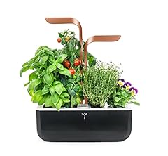 Véritable smart potager d'occasion  Livré partout en France